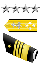 Admiral (O-10) Insignia