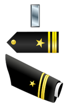 Lieutenant Junior Grade (O-2) Insignia